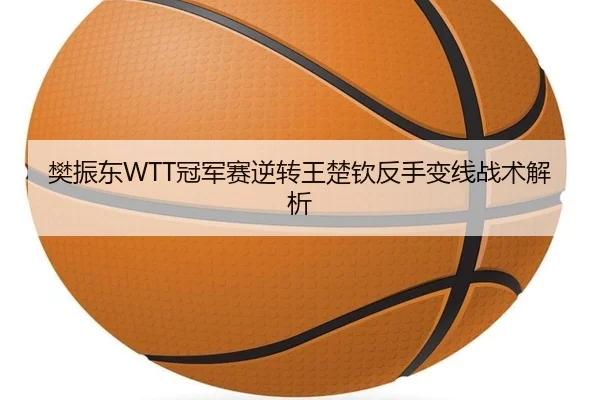 樊振东WTT冠军赛逆转王楚钦反手变线战术解析
